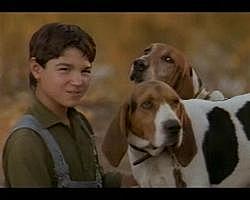 Billy get inspired to get his hound's.