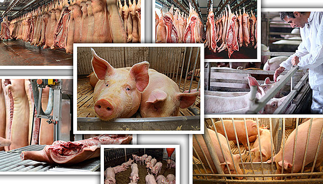 Prohibición de importación de carnes fresca y refrigeradas