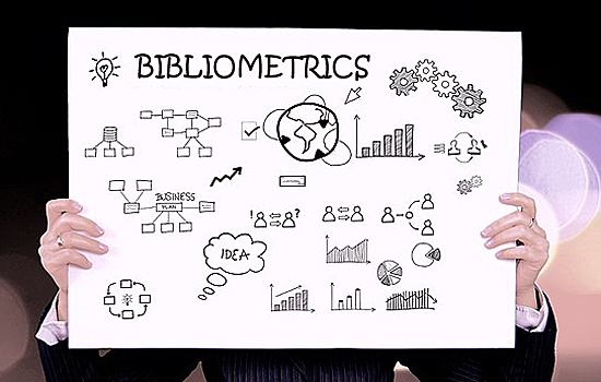 Aplicación del término bibliometría