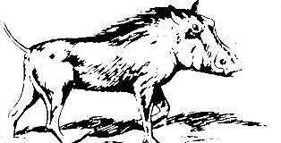 M. Roldán asegura la existencia de tres subgéneros