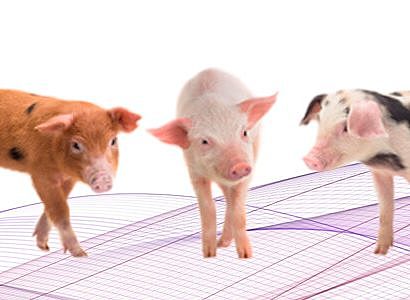 Se crearon centros de investigación