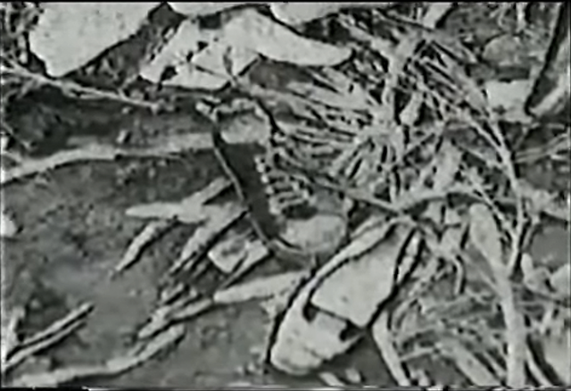 Vespertino “Ultimas noticias” el 2 de Octubre