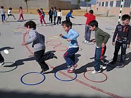 Enfoque orgánico funcional