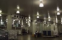 Industria alimentaria