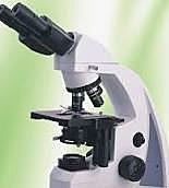 El Microscopio Óptico