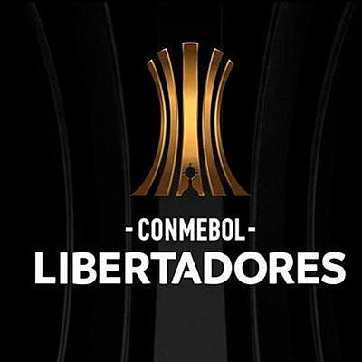 Timeline: Campeones de la Copa libertadores desde 2005