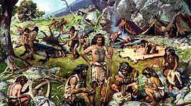 Timeline: Materiales a lo largo de la historia