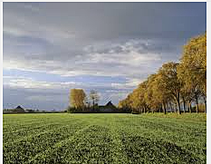 Religious requirements for voting