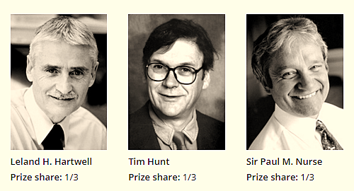 Control de ciclo celular a cargo de Lehan. H Hartwell, Tim Hunt y Paul Nurse.