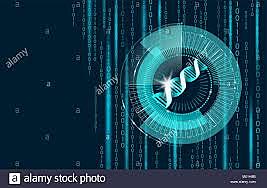 INFORMATICA MOLECULAR