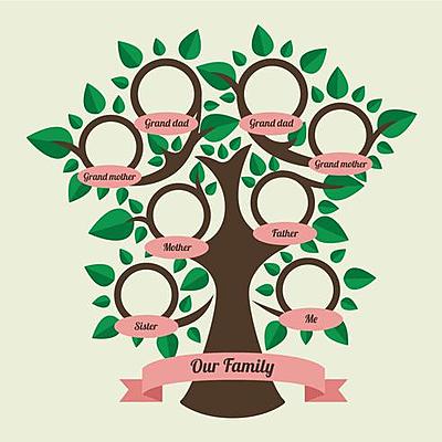 Timeline: Árbol genealógico y principales logros individualizados