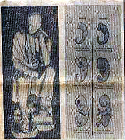 Aristóteles y el desarrollo de un individuo.