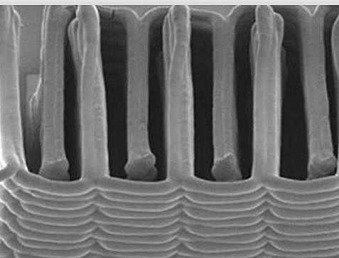 Bacterias impresas en 3D