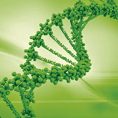 Timeline: Teorías del origen de la vida