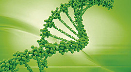 Timeline: Teorías del origen de la vida