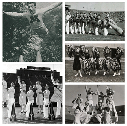 Cronología en los E.U.A