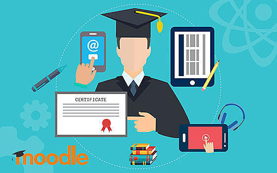 Se imparte el curso de doctorado