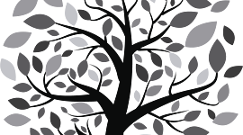 Timeline: Línea del Tiempo Catalina Bustamante Roldan