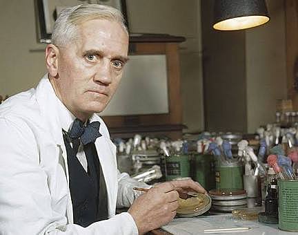 Alexander Fleming aísla la penicilina de cultivo de penisilium notatum