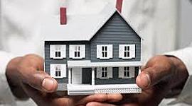 Timeline: Patrimonio