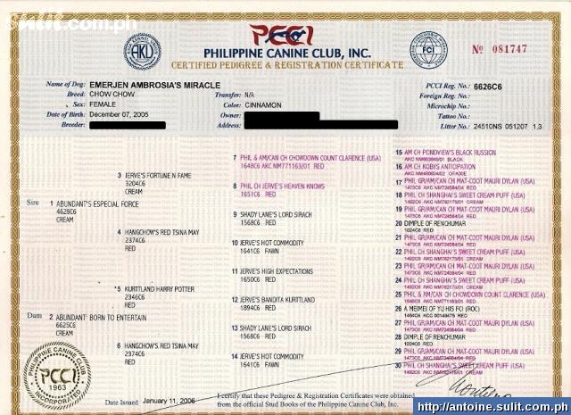 US ownership of the Philippines