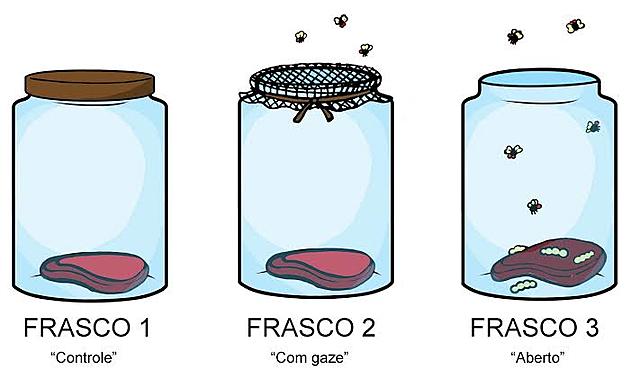 Experimento de F. Redi