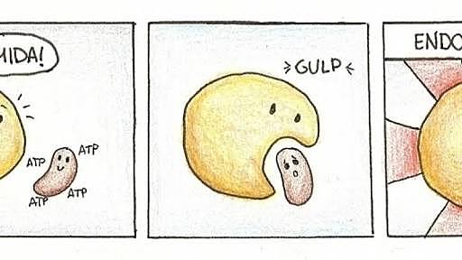 Teoria endosimbiotica