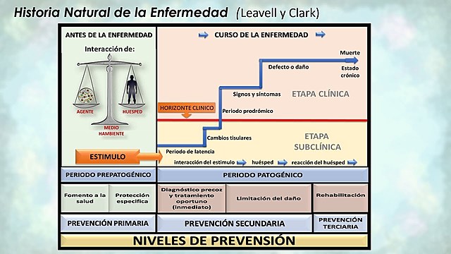 Historia natural de la enfermedad