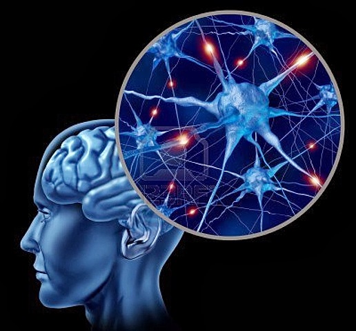 1988 Neuropsicología Cognitiva