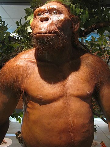 ERGONOMIA EN LA PREHISTORIA