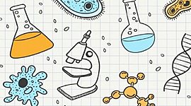 Timeline: L'HOME I LA DONA DE LA CIÈNCIA