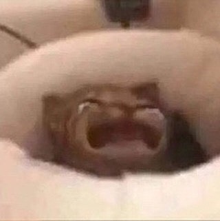 Llegada del COVID-19