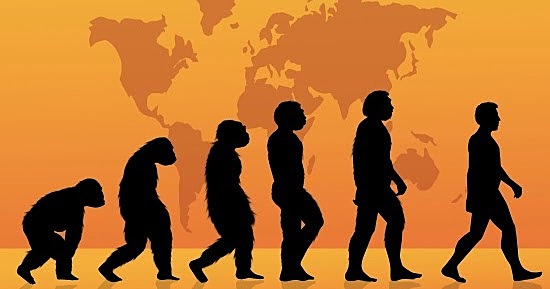 Nuevos orígenes en África