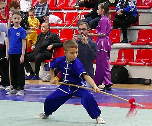 Я бросаю ушу!