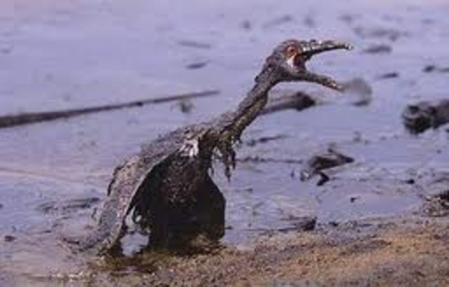 Rio de Janeiro, BRASIL