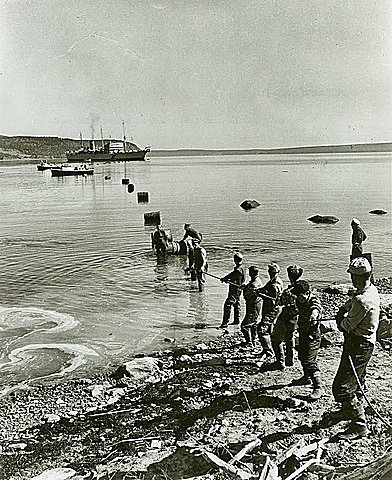 El cable telefónico.