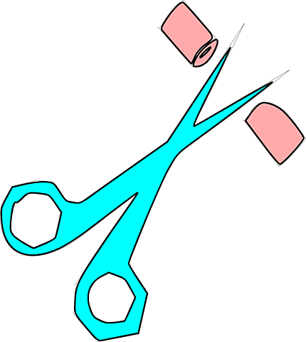 Cirugia Estelizadora