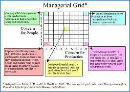 Management Grid