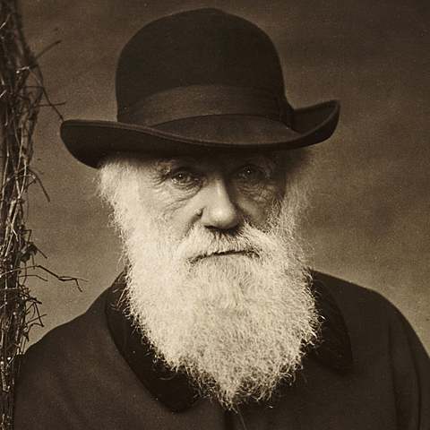 Birth of Charles Darwin