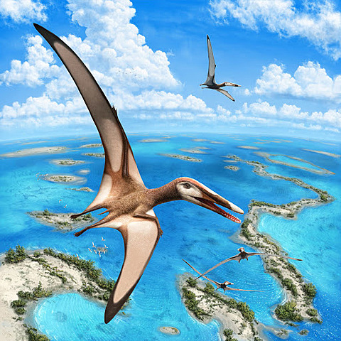 Pterosaurus