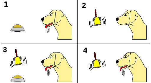 Reflejo condicionado