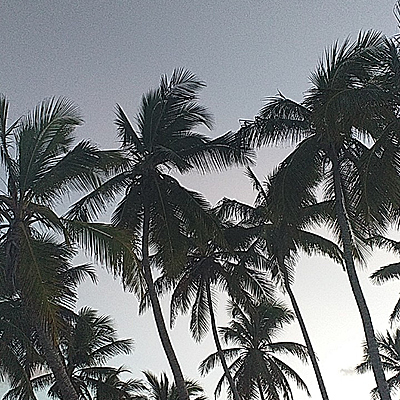 Timeline: Evolucion del turismo en R.D