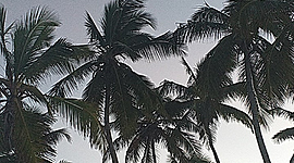 Timeline: Evolucion del turismo en R.D