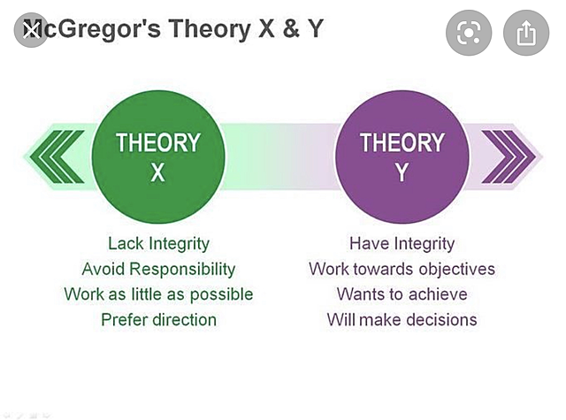 Theory X