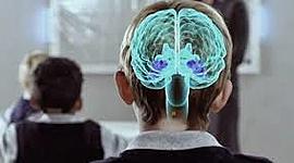 Timeline: HISTORIA DE LA NEUROPSICOLOGÍA