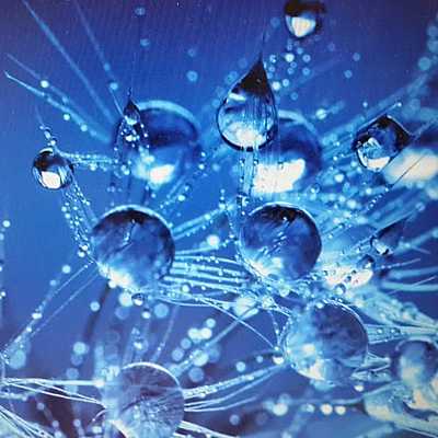 Timeline: ORIENTACION