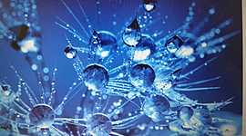 Timeline: ORIENTACION