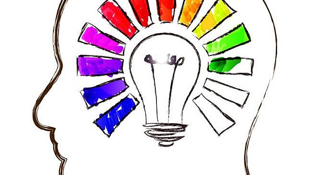 DIVERSIDAD DE INTERESES Y CAPACIDADES