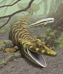 Esimesed kahepaiksed