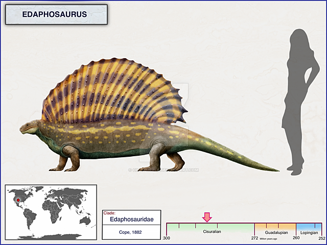 Edaphosaurus